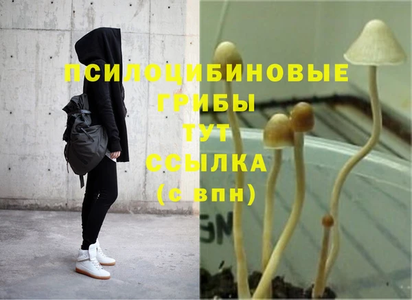 гидропоника Балабаново